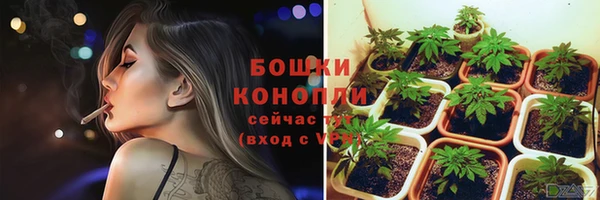 spice Белокуриха