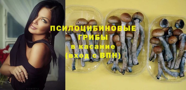 spice Белокуриха