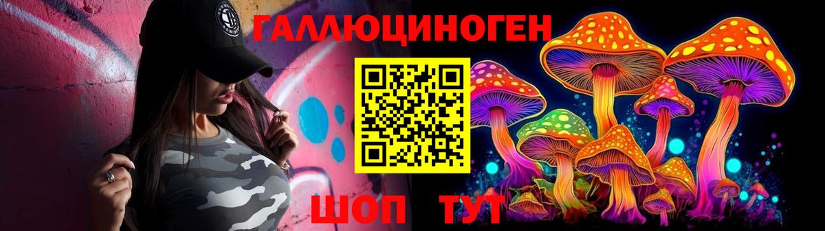 Галлюциногенные грибы Psilocybe Валуйки